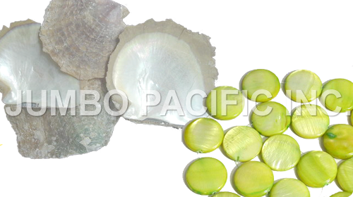 de componenten ruwe shell van Filippijnen fijnste natuurlijke zwabberspaanders