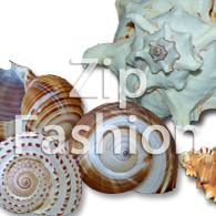 overzeese van Filippijnen shells of ruwe shells